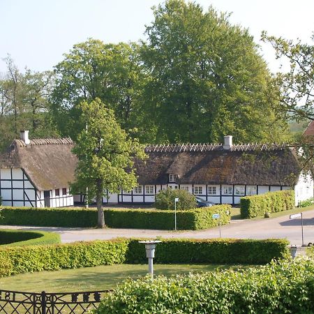 Baekgaarden B&B Lyndelse Екстериор снимка