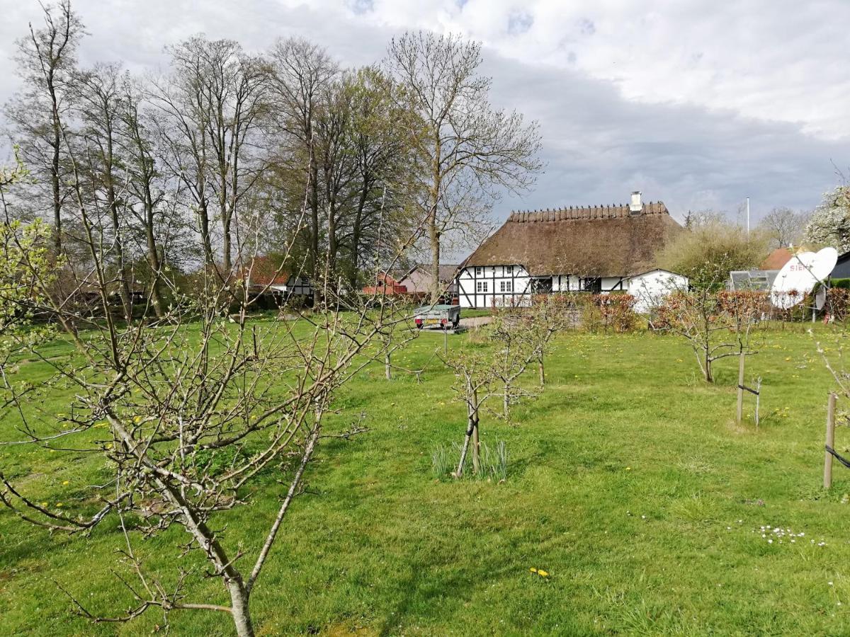 Baekgaarden B&B Lyndelse Екстериор снимка