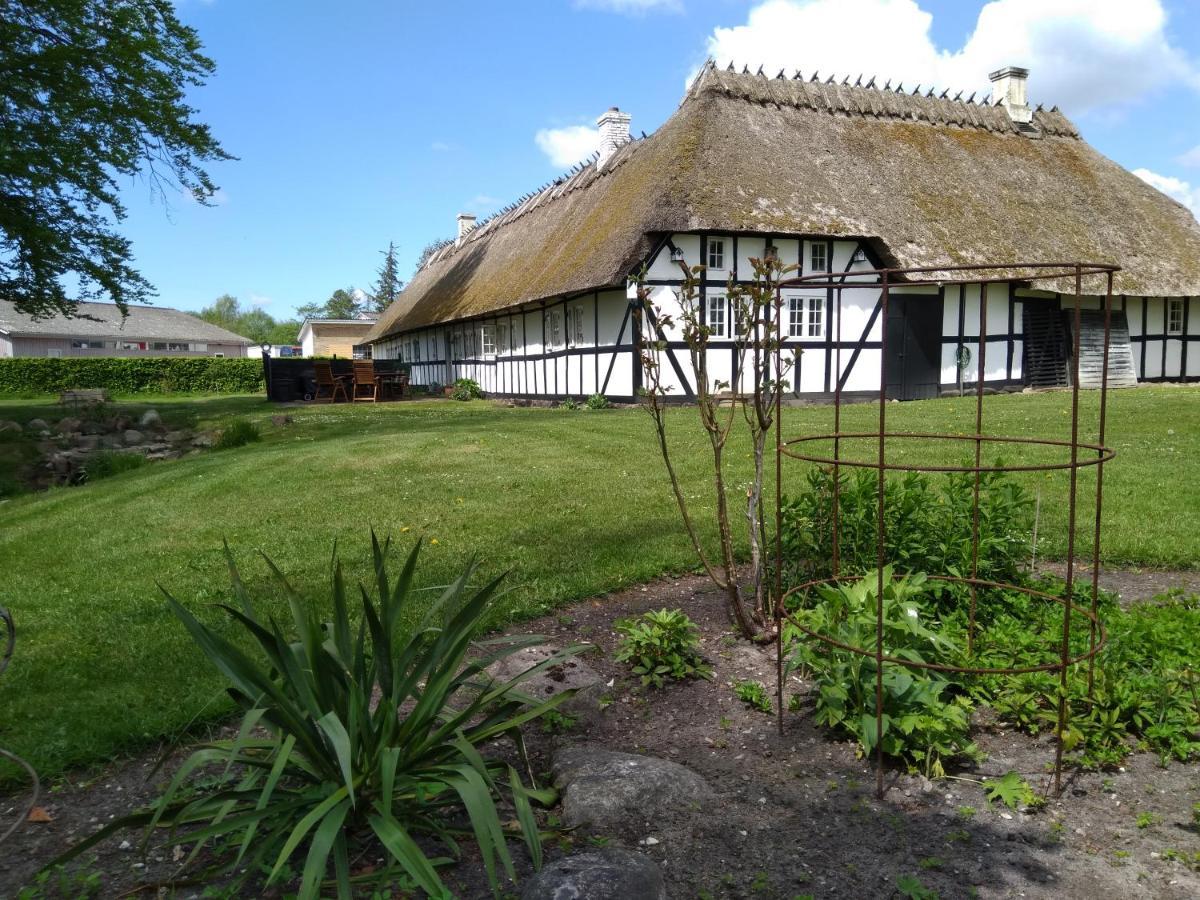 Baekgaarden B&B Lyndelse Екстериор снимка